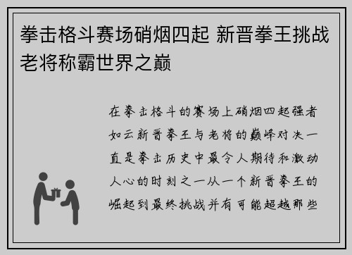 拳击格斗赛场硝烟四起 新晋拳王挑战老将称霸世界之巅