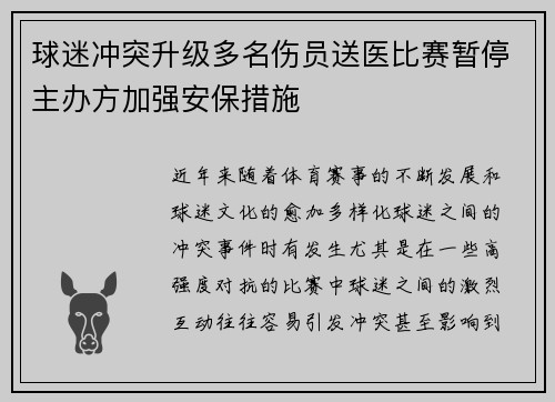 球迷冲突升级多名伤员送医比赛暂停主办方加强安保措施